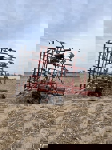 265826 - image 1