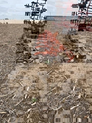 alt=