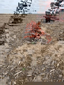 265827 - image 1