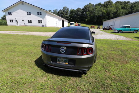 268219 - image 7
