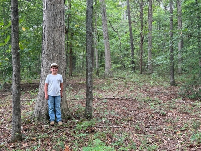 269284 - image 7