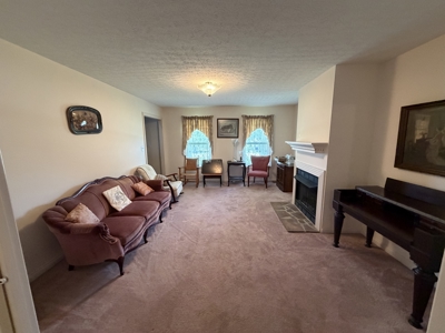 275904 - image 3